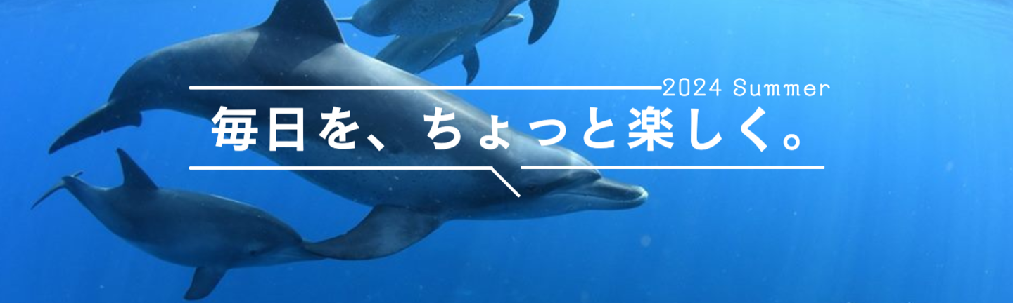 イルカとスキンダイビング